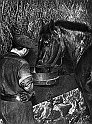 souvenirs en noir et blanc (37)
